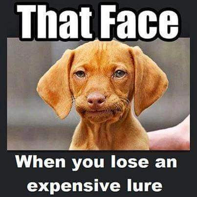 .facebook_1497880825845.jpg
