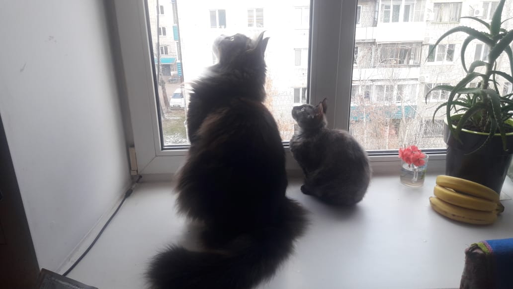 Фаня и Сын.jpeg