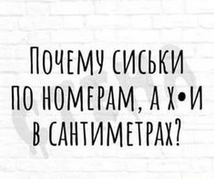 fb53f4da6c50c3e39b08847015cfa6b6.jpg