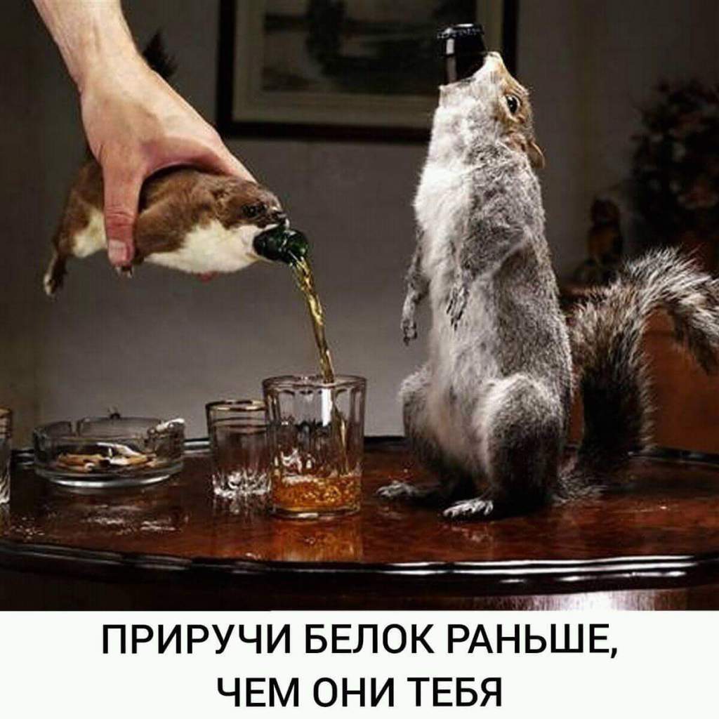 FB_IMG_1520004610714.jpg