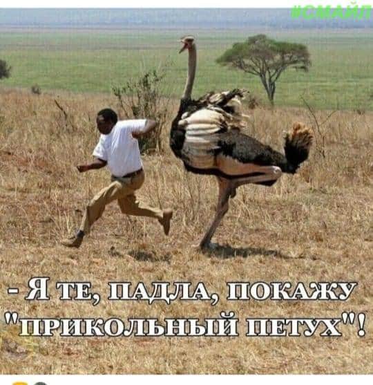 FB_IMG_1595739009051.jpg
