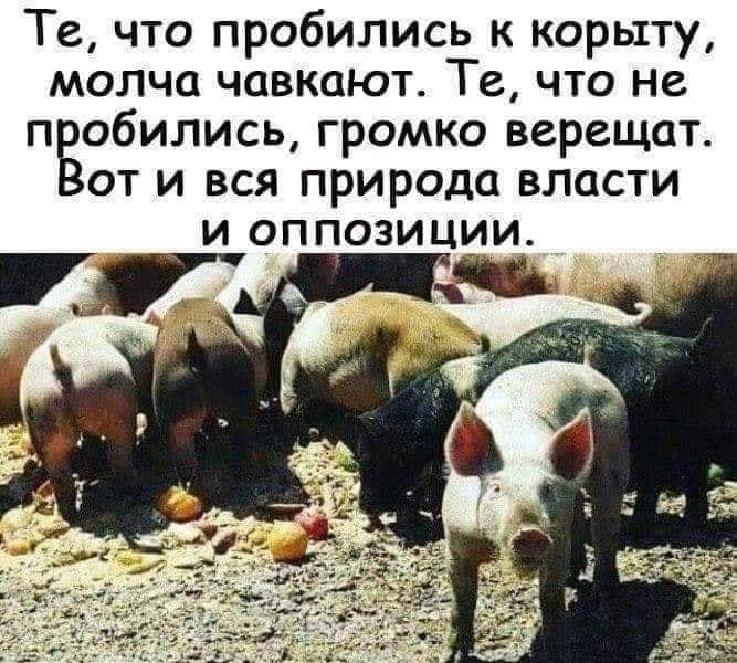 FB_IMG_1595747603365.jpg
