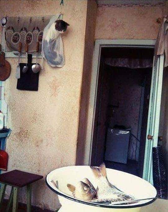 FB_IMG_1599824444909.jpg