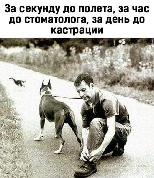 FB_IMG_1606820449474.jpg