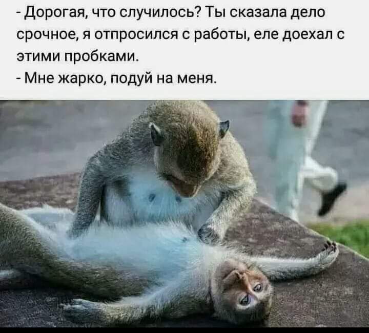 FB_IMG_1607022397369.jpg