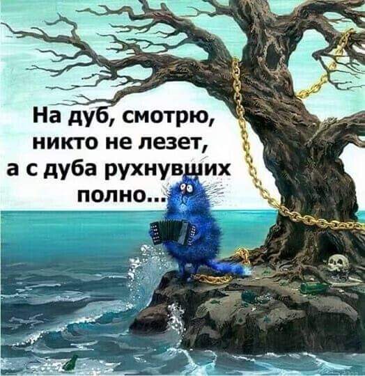 FB_IMG_1607511643676.jpg