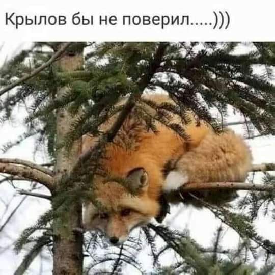 FB_IMG_1612125444860.jpg