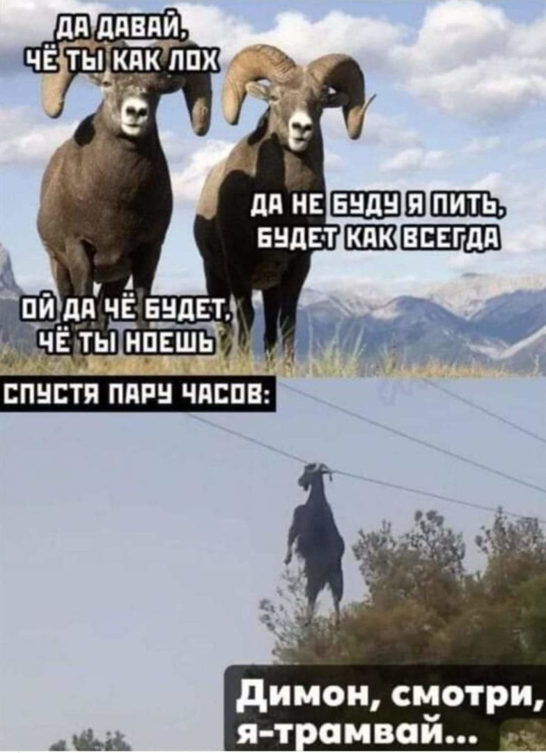 FB_IMG_1615023444723.jpg