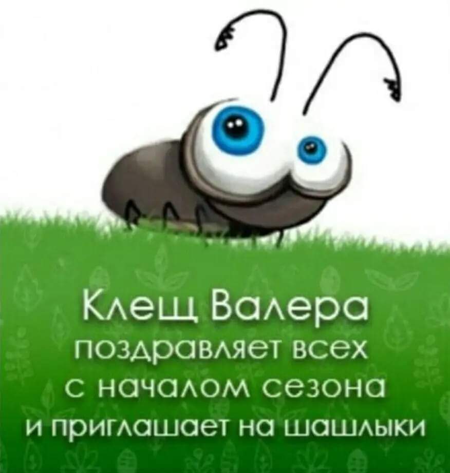 FB_IMG_1618051013286.jpg