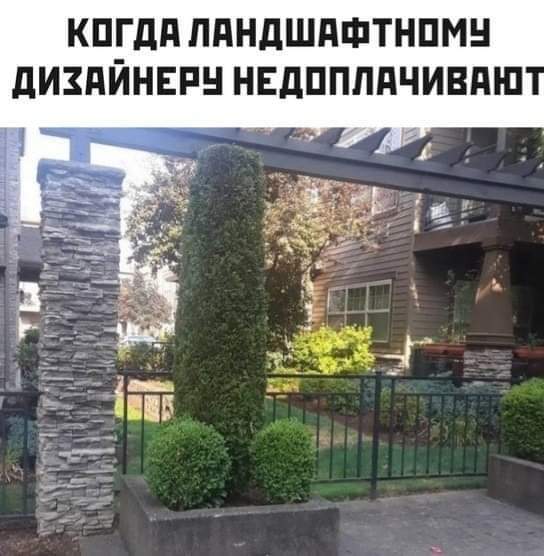 FB_IMG_1627599204098.jpg