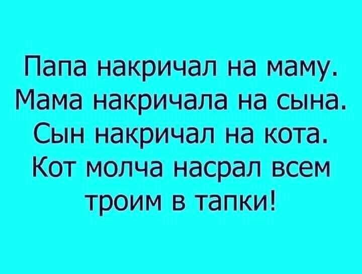 FB_IMG_1627877924783.jpg