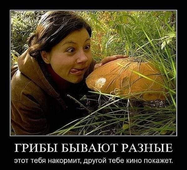 FB_IMG_1628241750004.jpg