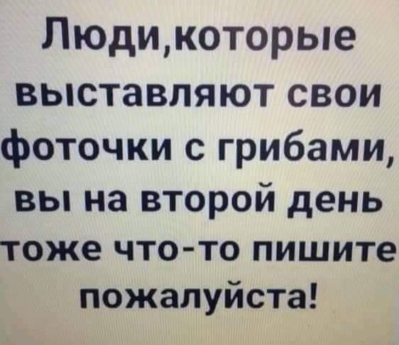 FB_IMG_1628324083607.jpg