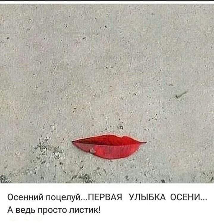 FB_IMG_1631666292005.jpg