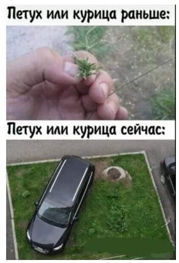 FB_IMG_1632308297459.jpg