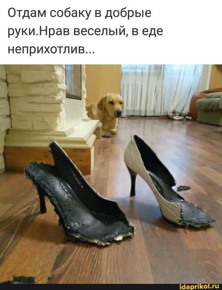 FB_IMG_1632372689543.jpg