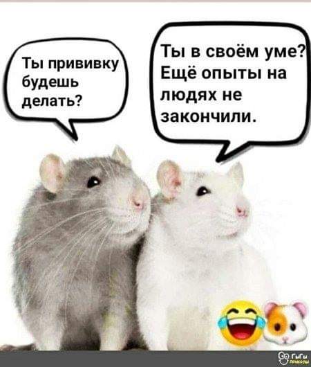 FB_IMG_1632476041801.jpg