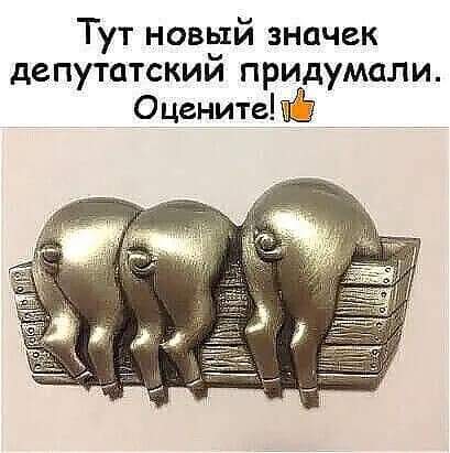 FB_IMG_1632975087529.jpg