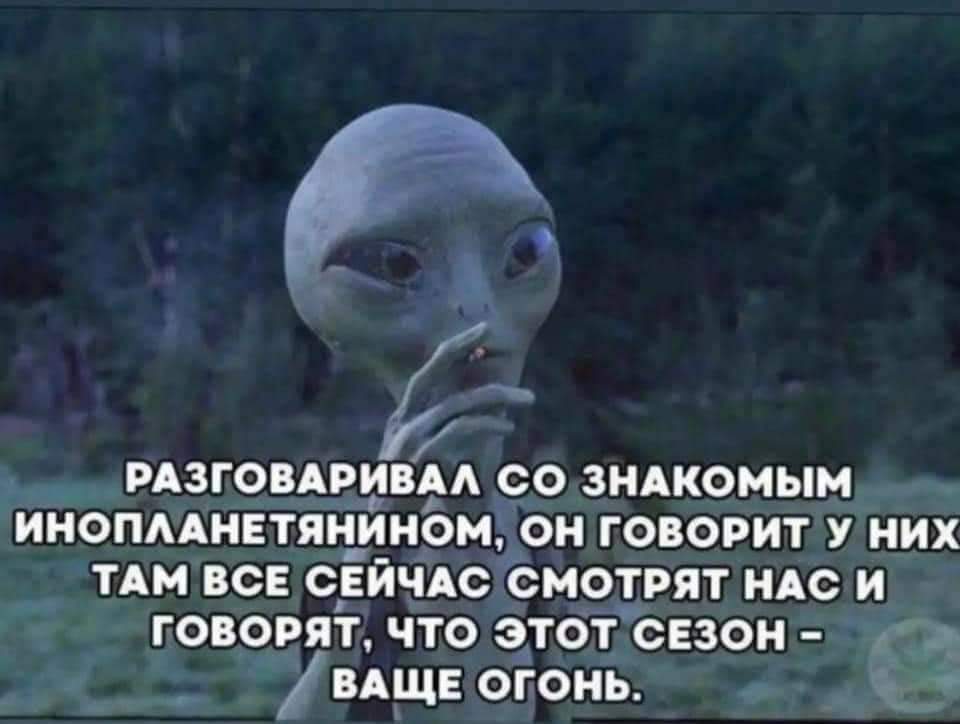 FB_IMG_1636148365535.jpg