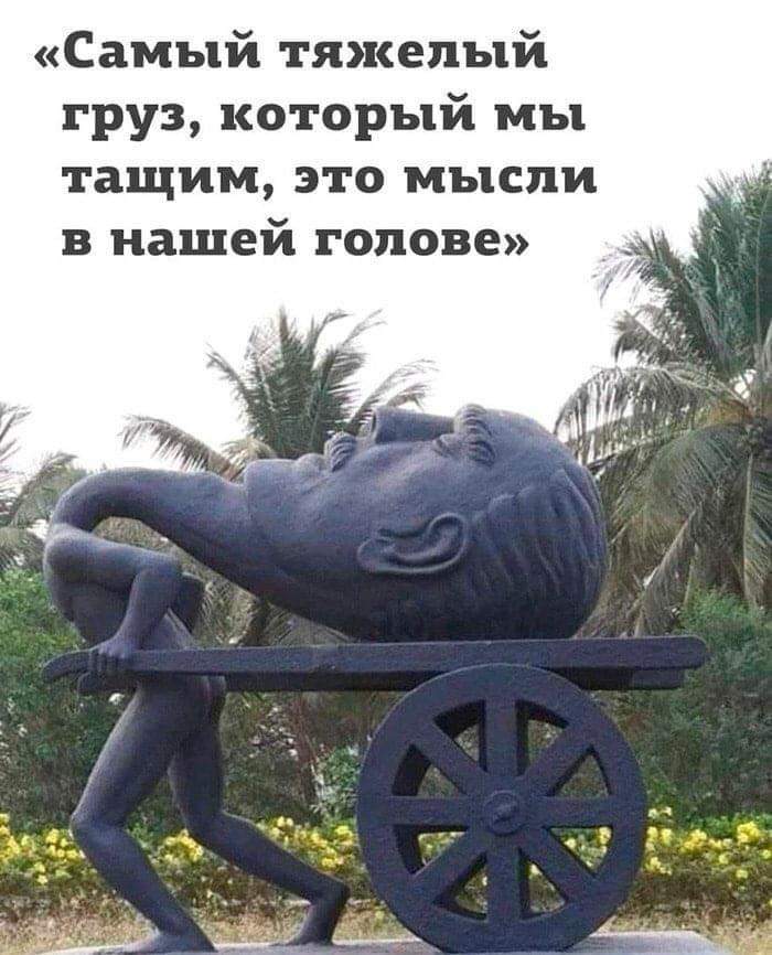 FB_IMG_1636926279673.jpg
