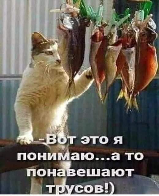 FB_IMG_1639428348776.jpg