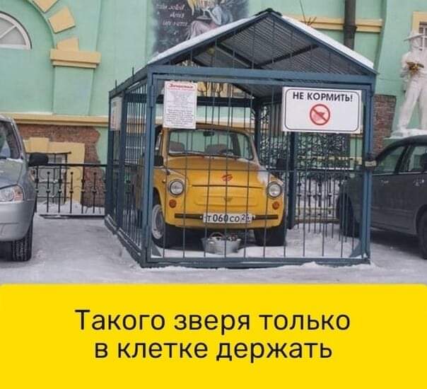 FB_IMG_1641967599876.jpg