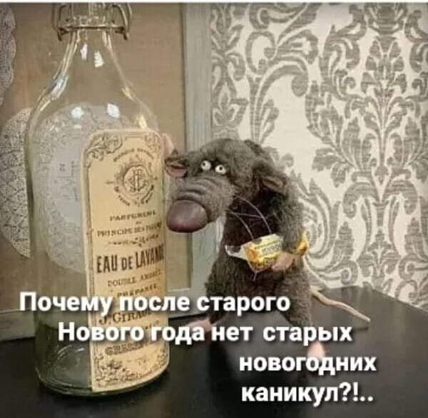 FB_IMG_1642169047485.jpg