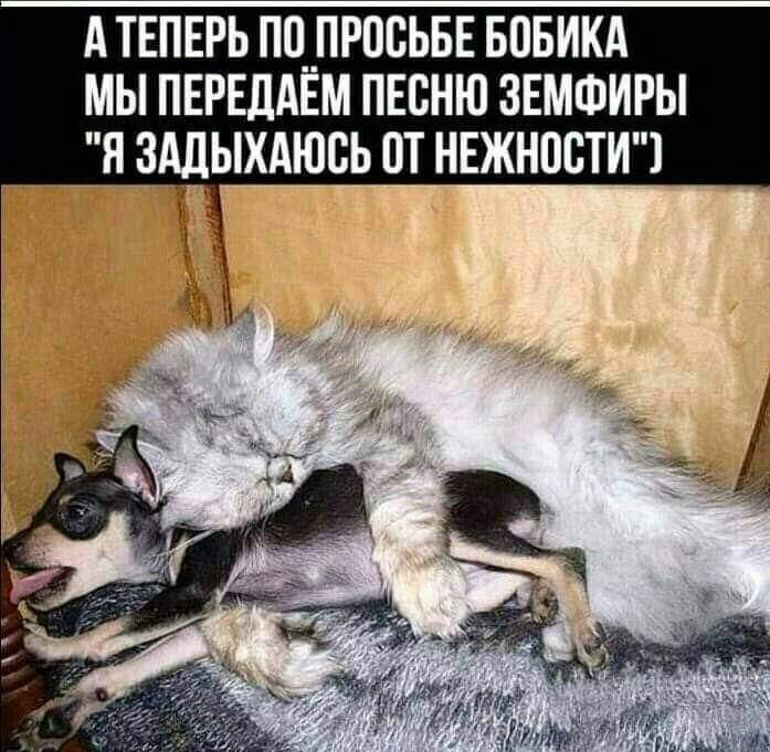 FB_IMG_1653913552677.jpg