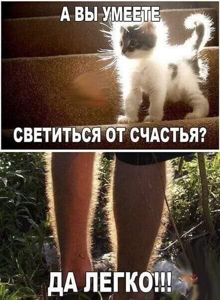 FB_IMG_1686108525723.jpg
