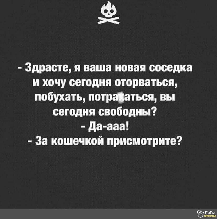 FB_IMG_1687437413190.jpg
