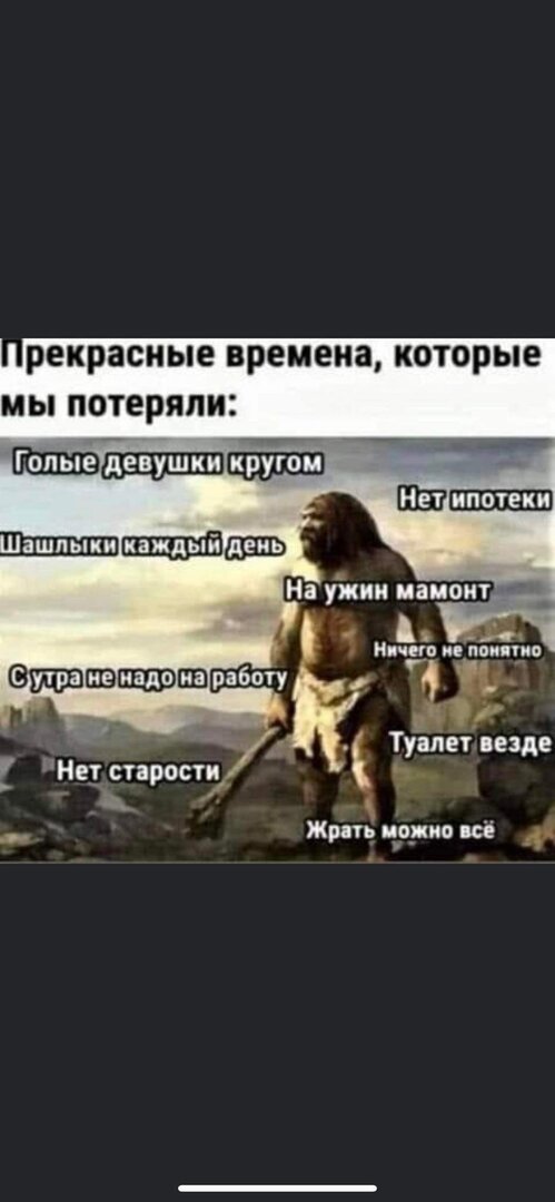FB_IMG_1687667173435.jpg