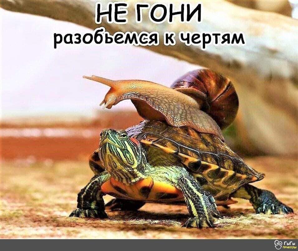 FB_IMG_1687668227804.jpg