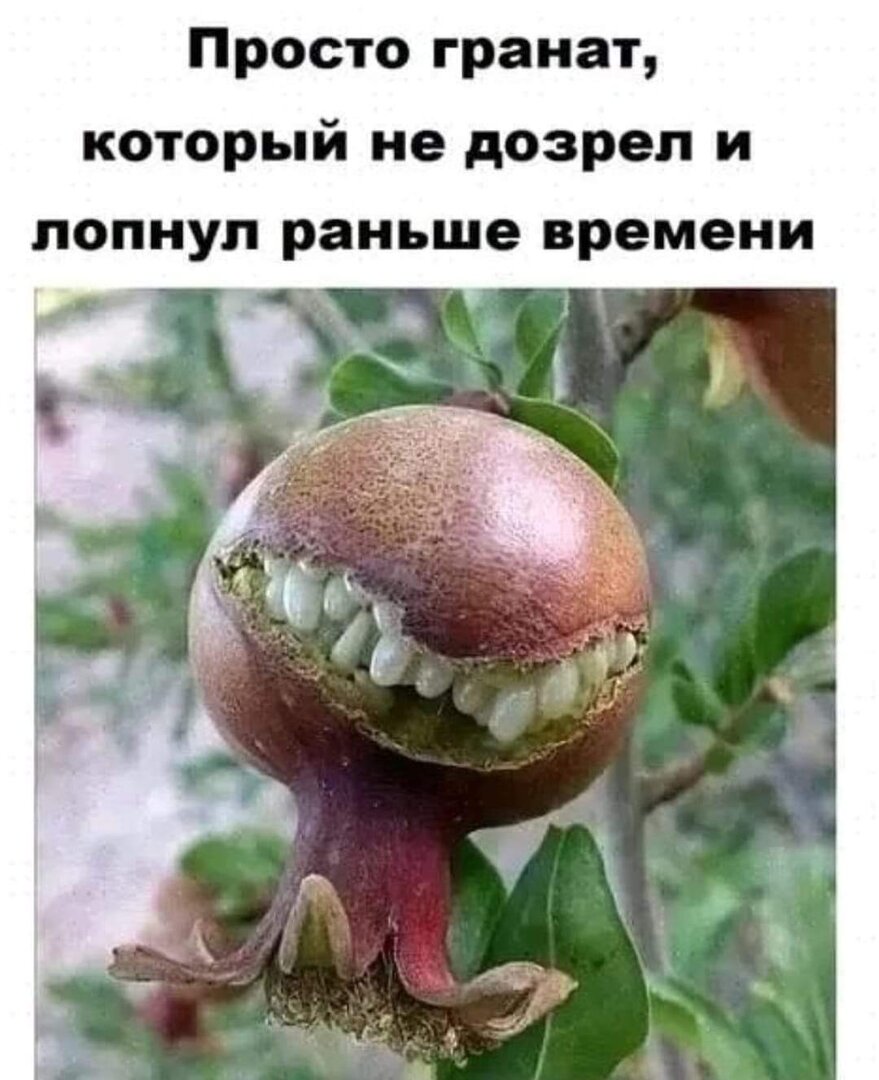 FB_IMG_1698667331430.jpg