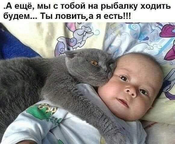 FB_IMG_1699445179067.jpg