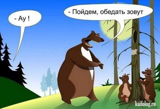 FB_IMG_1700386838780.jpg
