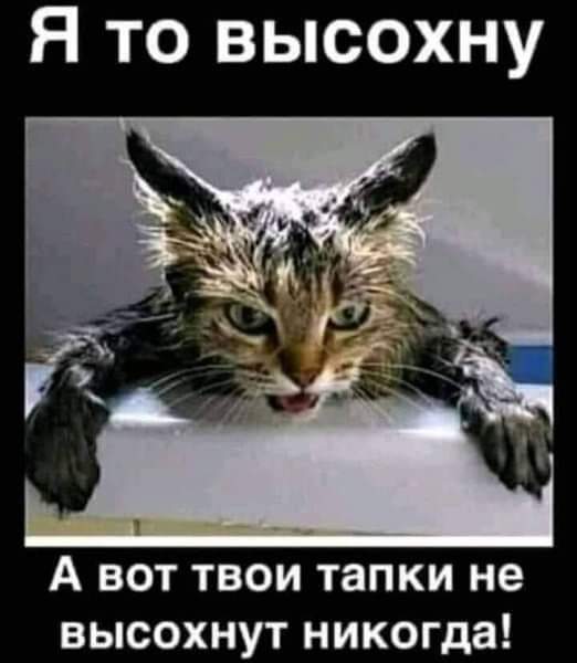 FB_IMG_1719964493717.jpg