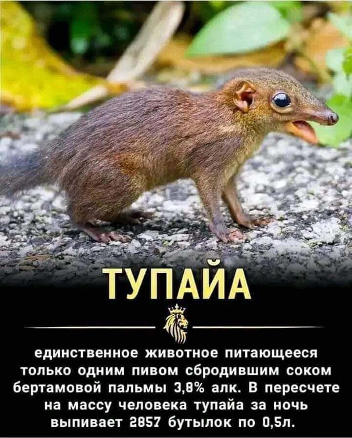 FB_IMG_1720006048939.jpg