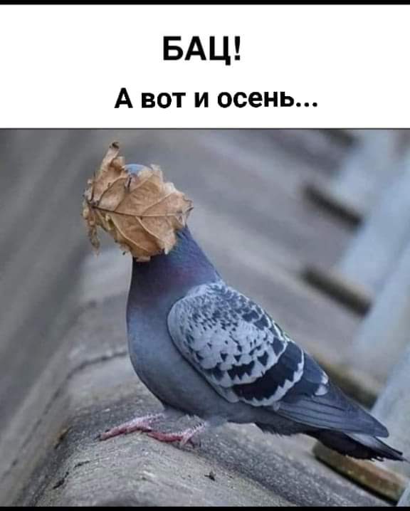 FB_IMG_1725272297557.jpg