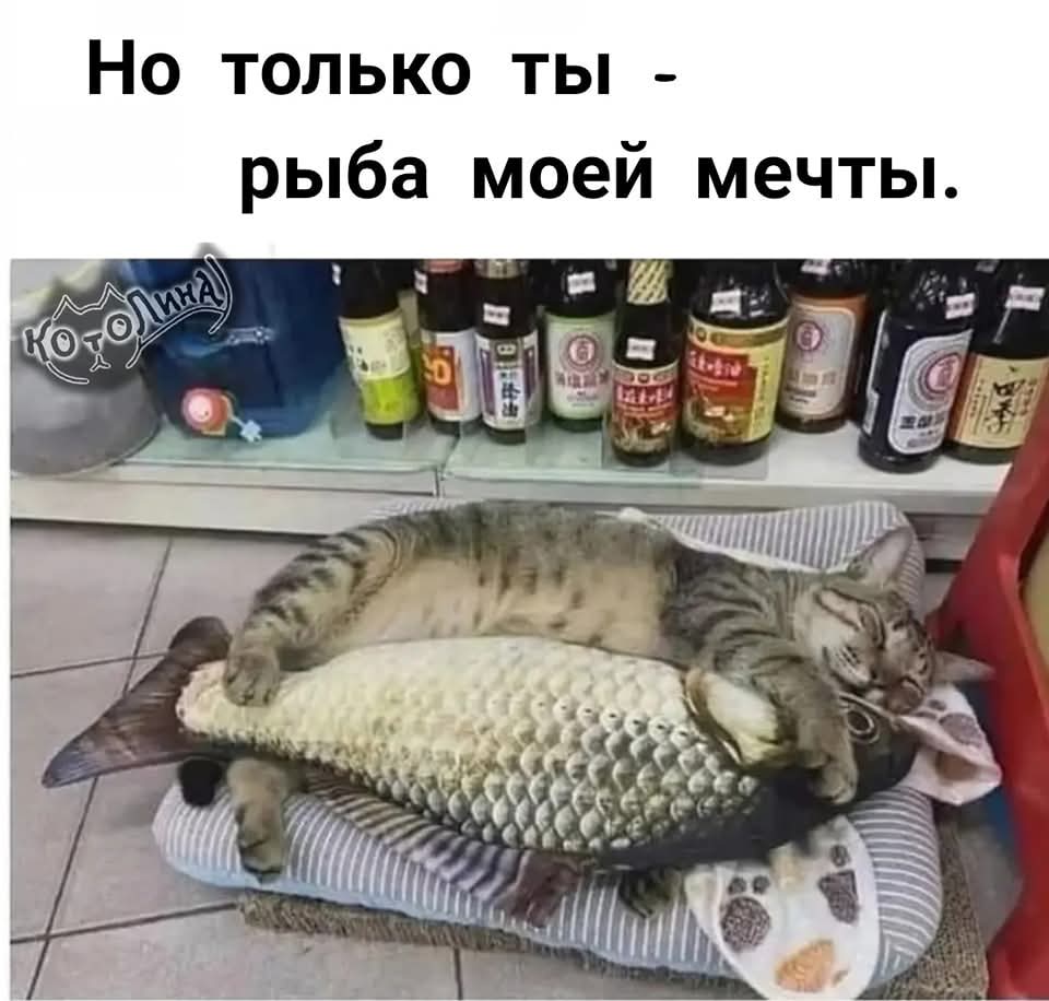 FB_IMG_1737767537148.jpg