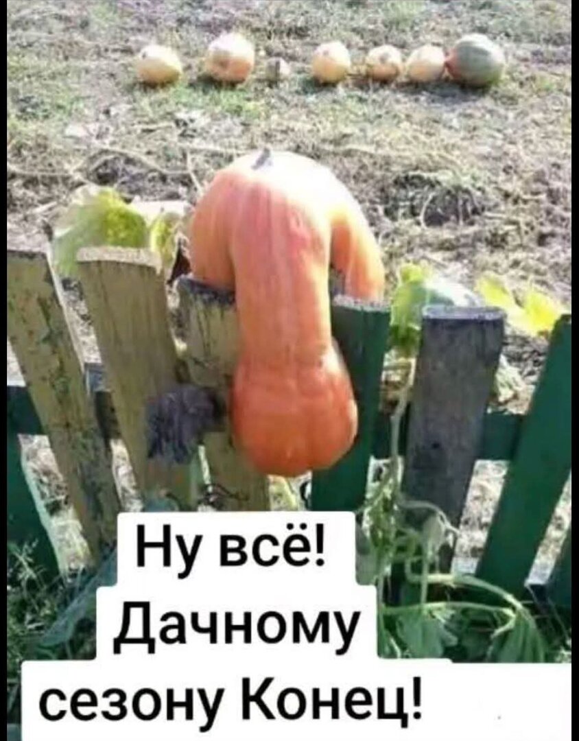 FB_IMG_1759656131536.jpg