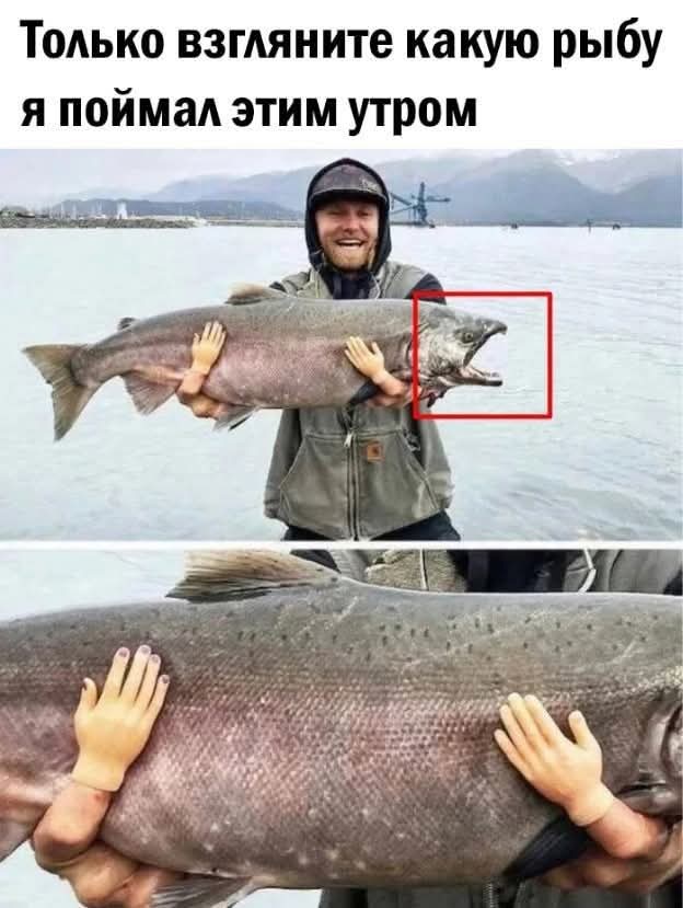 FB_IMG_1778492054373.jpg