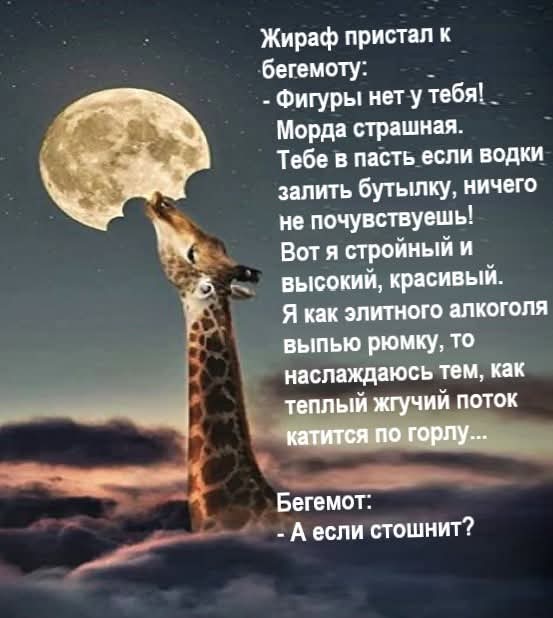 FB_IMG_1784265495619.jpg