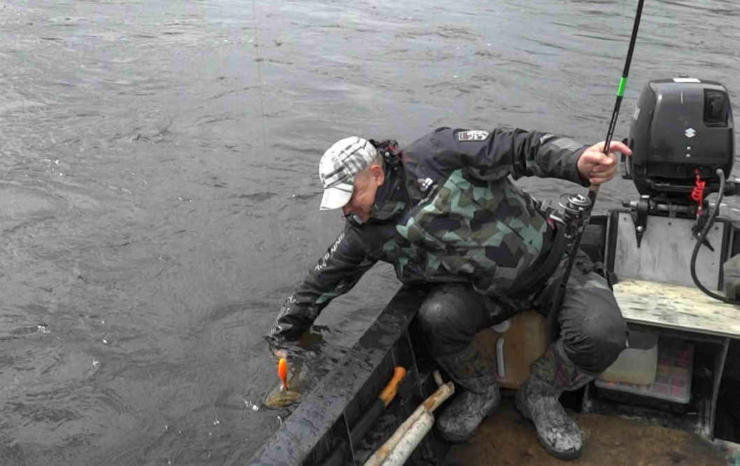 ФЕСТ таймень 1.png