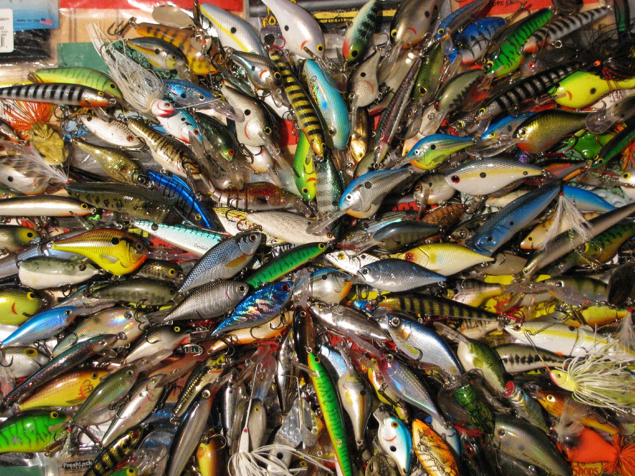 fish-fishing_00260730.jpg
