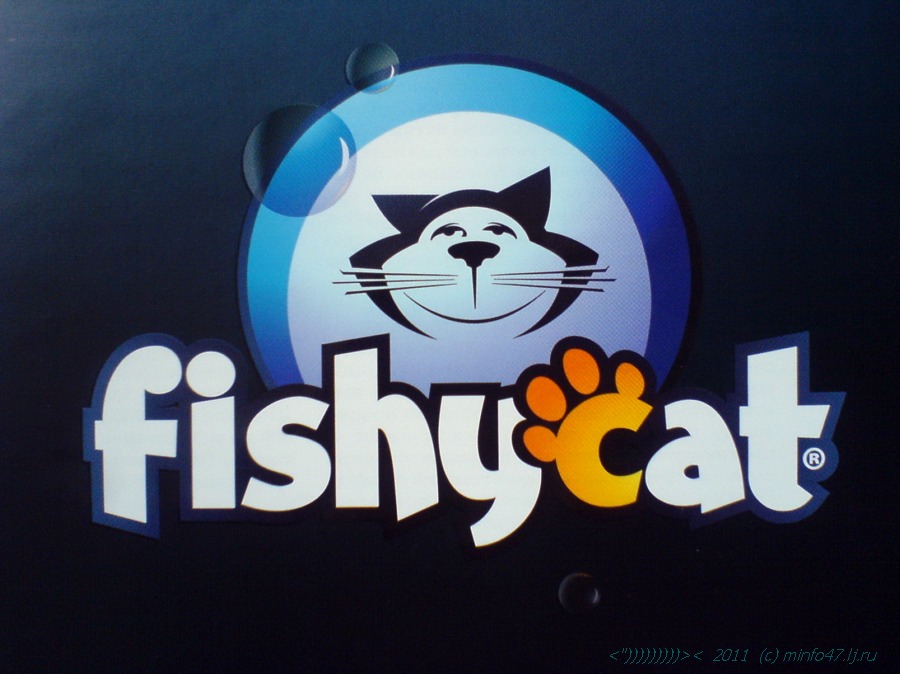 fishcat1.jpg
