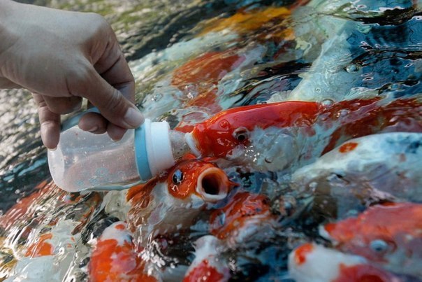 фото-Больше-красивые фотографии-необычные фотографии_3371949712.jpg