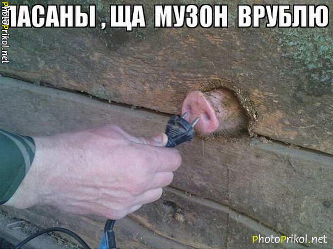 foto-prikoly-29.jpg