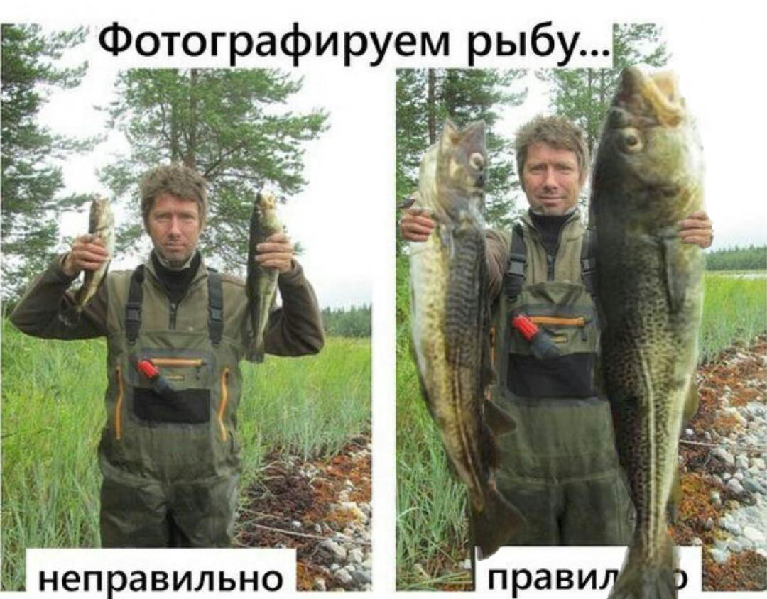 фотошоп.jpg
