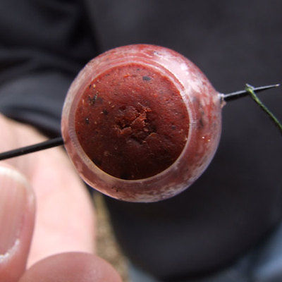 Gardner-Tackle-Hardball-Bait-Saver-Carp-Bream.jpg