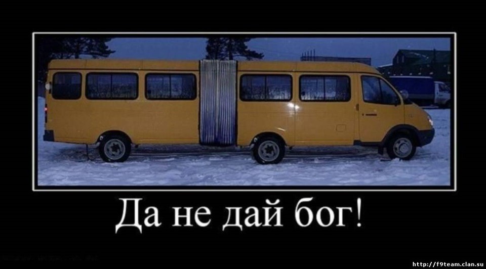 гармошка.jpg